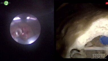 Мартов А.Г. - RIRS