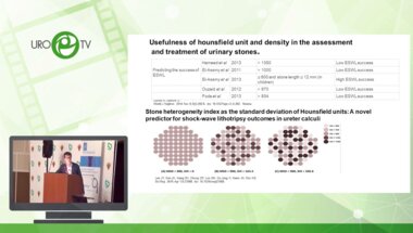 Пронкин Е.А. - Эффективность срочной ДУВЛ конкрементов верхних мочевыводящих путей