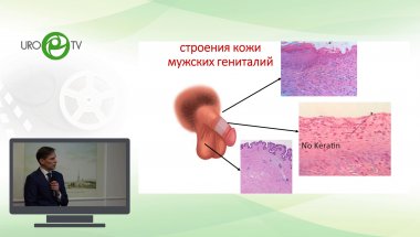 Рыжков А.И. - Заболевания кожи мужских половых органов