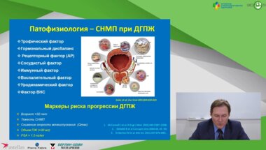 Охоботов Д.А. - Персонифицированный подход к медикаментозному лечению гиперплазии простаты. Клинический пример