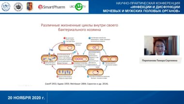 Перепанова Т.С. - Бактериофаги возможности и перспективы