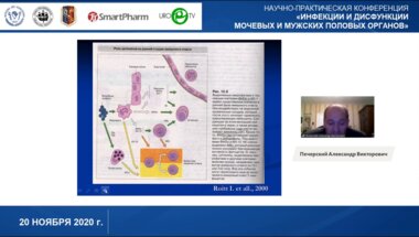 Печерский А.В. - Аутоиммунные факторы в развитии хронической тазовой боли