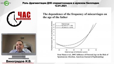 Виноградов И.В., Шибанова Е.И. - Роль фрагментации ДНК сперматозоидов в мужском бесплодии