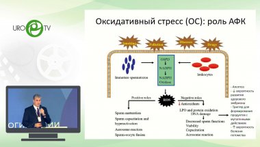 Корнеев И.А. - Клинические рекомендации по мужскому бесплодию в 2019 и 2021 гг. что может измениться