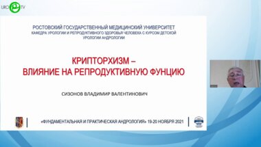 Сизонов В.В. - Крипторхизм. Влияние на репродуктивную функцию