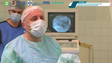 Малхасян В.А. - Ретроградная гибкая пиелолитотрипсия