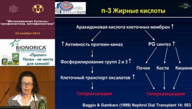 Р. Зинер "Современный взгляд на факторы риска камнеобразования"