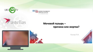 Раснер П.И. - Мочевой пузырь - причина или жертва?