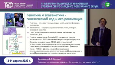 Божедомов В.А. - Генетика и эпигенетика мужского бесплодия. Что мы знаем в 2023 году?