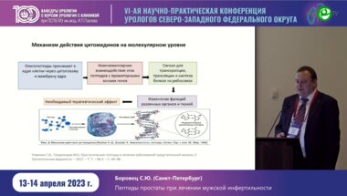 Боровец С.Ю. - Пептиды простаты при лечении мужской инфертильности