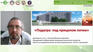 Елисеев М.С. - Подагра. Под прицелом почки