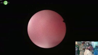 Мартов А.Г. - RIRS