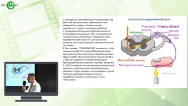 Миркин Я.Б. - Центральная и периферическая сенситизация при тазовой боли