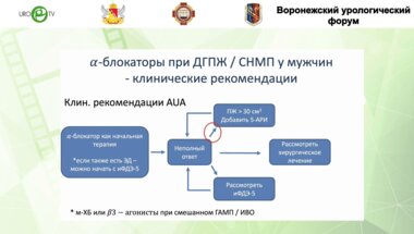 Соколов Е.А. - Принципиальные аспекты безопасности комбинированной терапии ДГПЖ/СНМП
