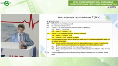 Перлин Д.В. - Осторожно, резекция почки