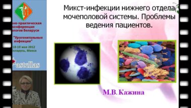 Кажина М.В. - Проблема ведения пациентов со смешанными урогенитальными инфекциями