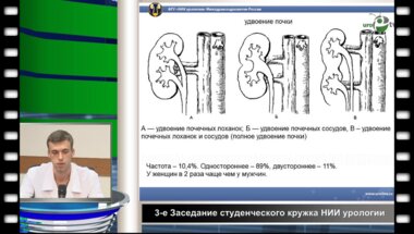 Лагутин Г.В - Аномалии МПС