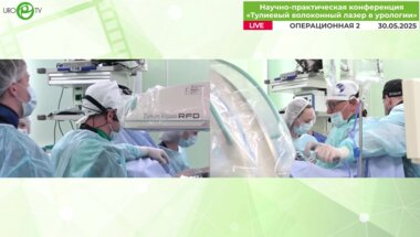 Мартов А.Г., Андронов А.С. - Эндоскопическая комбинированная интраренальная хирургия