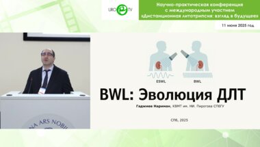 Гаджиев Н.К. - BWL: эволюция ДЛТ