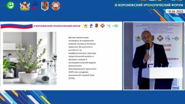 Шкодкин С.В. - Экстракт каланхоэ перистое в терапии экспериментального СХТБ