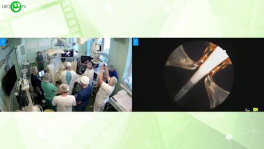 Холтобин Д.П. - Инъекционно-паровая терапия Rezum