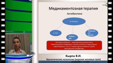 Кырпа В.И. "Урологические нозологии: Пиелонефрит"