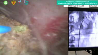 Горелов Д.С. - РИРХ