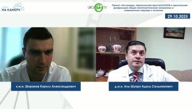 Аль-Шукри А.С. - Хронический простатит/СХТБ и эректильная дисфункция: общие патогенетические механизмы и современные подходы к лечению