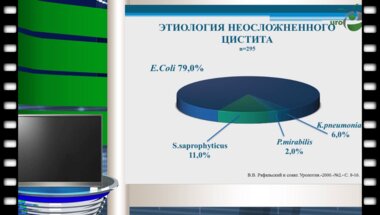 Шамин М.В. - Острый и хронический цистит 