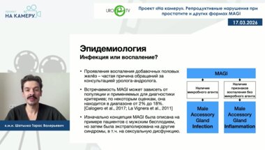 Шатылко Т.В. - Репродуктивные нарушения при простатите и других формах MAGI