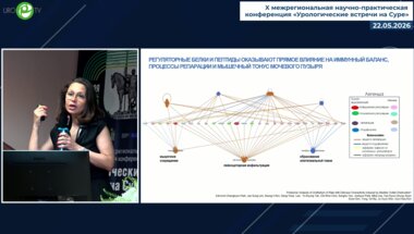 Коршунова Е.С. - Гиперактивный мочевой пузырь: перспективные направления лечения