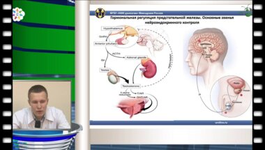 Печеркин А.А. - "Этиология, эпидимиология"