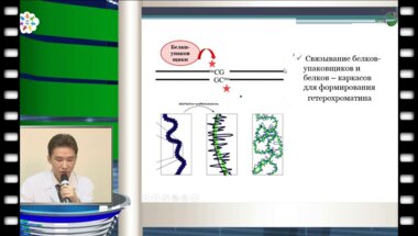 Жуматаев М.Б. - "Эпигенетика рака простаты" 