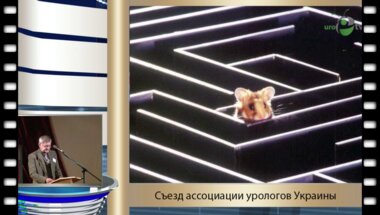 Стусь В.П. - "Контактная литотрипсия, её виды и преимущества относительно дистанционной литотрипсии"