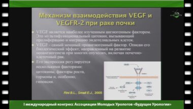 Туманян В.Г. - "Клиническое значение ангиогенных факторов при раке почки"