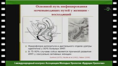Зайцев А.В. - "Инфекции мочевыводящих путей. Современные подходы к лечению и профилактике. Что нового?"