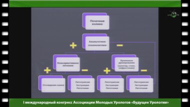 Малышев А.В. - "Выбор метода лечения при некупирующейся почечной колике"