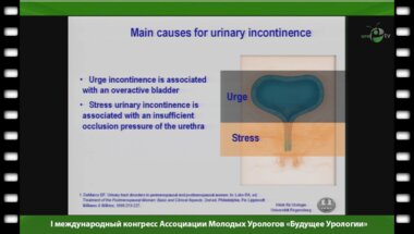 Виланд В. - "Реконструкция тазового дна при недержании мочи у мужчин и женщин"