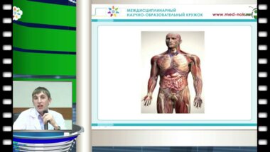 Войтко Д.А. - "Анатомические задачи"