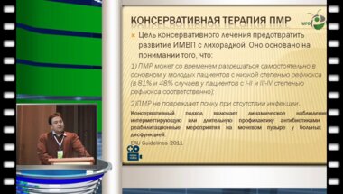 Д.В. Титов - Трансуретральная пластика устье мочеточников и новые перспективы применения биопластических препаратов из коллагена в детской урологии.