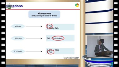 P. Honeck, Sindelfingen (DE) - Перкутанная нефролитолапаксия: инновации, показания и осложнения в 2014 году