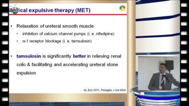 P. Honeck, Sindelfingen (DE) - Консервативное лечение мочекаменной болезни - что должен знать уролог