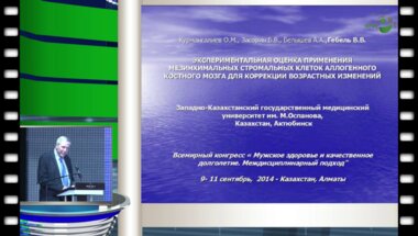 Засорин Б.В. - Экспериментальная оценка применения мезинхимальных стромальных клеток аллогенного костного мозга для коррекции возрастных изменений