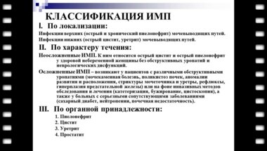 Шамин М.В. - Инфекции передающиеся половым путём в урологической практике