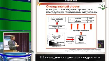 Божедомов В.А. "Новая редакция спермограммы по ВОЗ"
