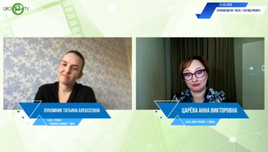 Лукомник Т.А., Царёва А.В. - Лучевой цистит. Часть 1. Взгляд уролога