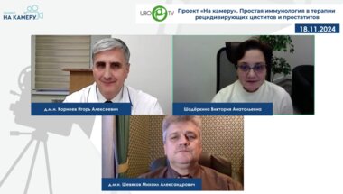 Корнеев И.А., Шевяков М.А. - Простая иммунология в терапии рецидивирующих циститов и простатитов