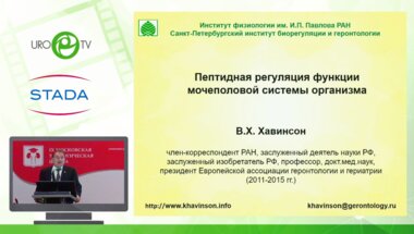 Хавинсон В.Х. - О механизме действия Витапроста