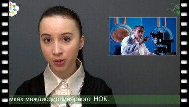 новости 25-11-2013