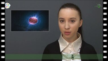 Заседание урологической секции научно-образовательного кружка 25.11.2013